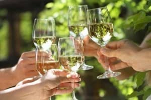 white wine